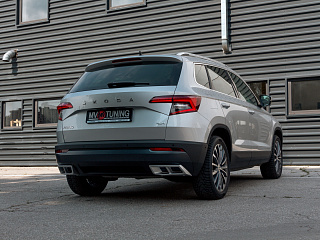 SILVER. Имитация насадок глушителя(выхлопа) крашенные для Skoda Karoq 2017 - 2021